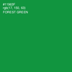 #11963F - Forest Green Color Image